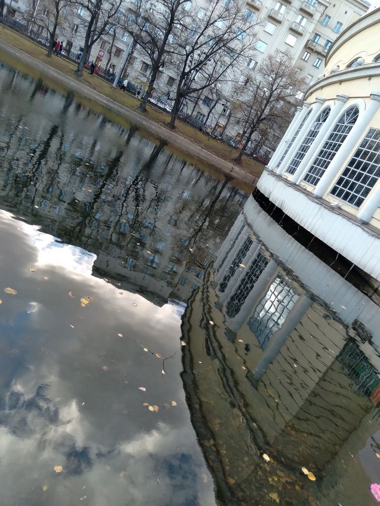 Photo #8111724