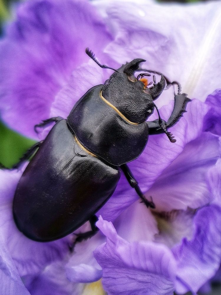 Photograph by Ольга Мажарук