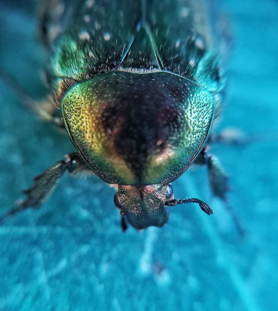 Photograph by Ольга Мажарук