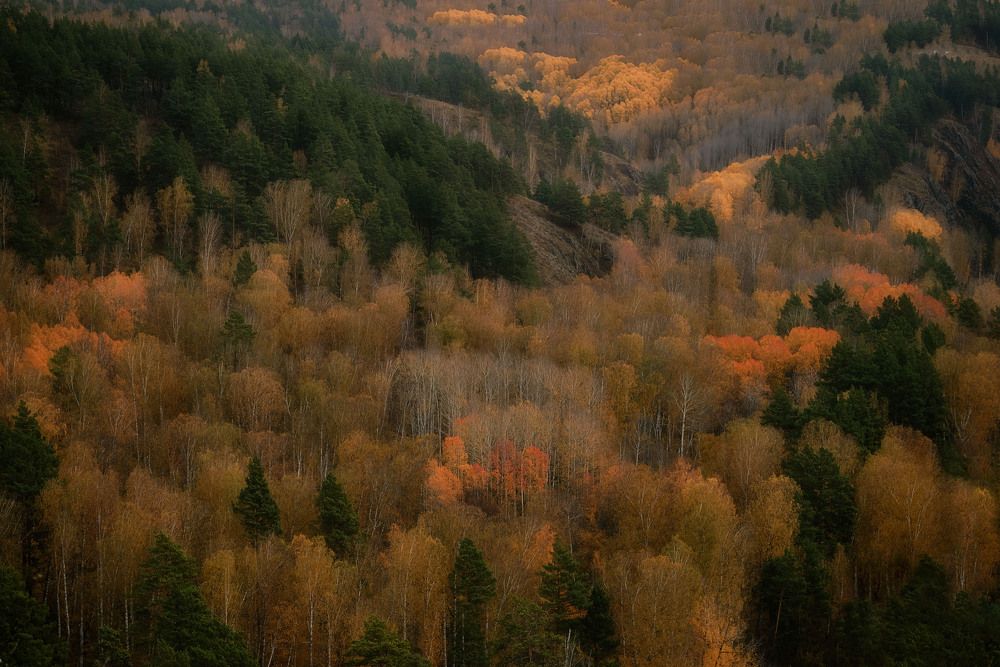 Photograph by Юлия Лушникова