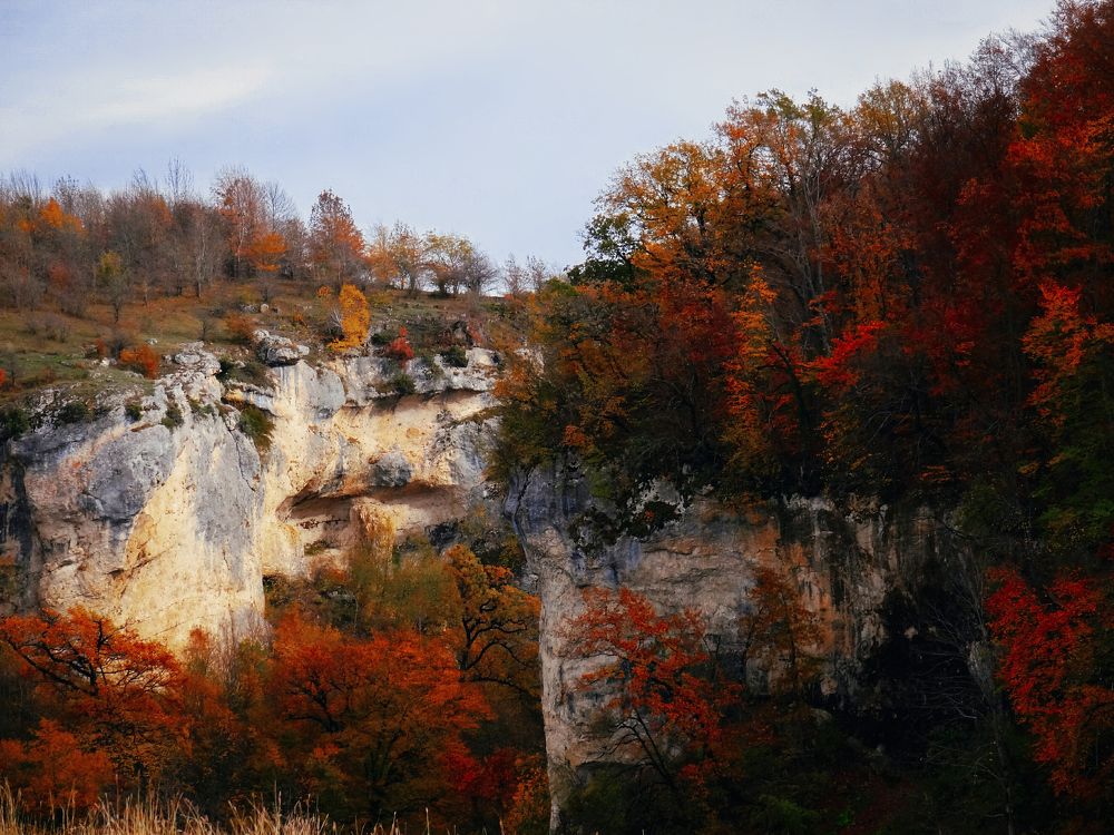 Photograph by Арина Стрябчева