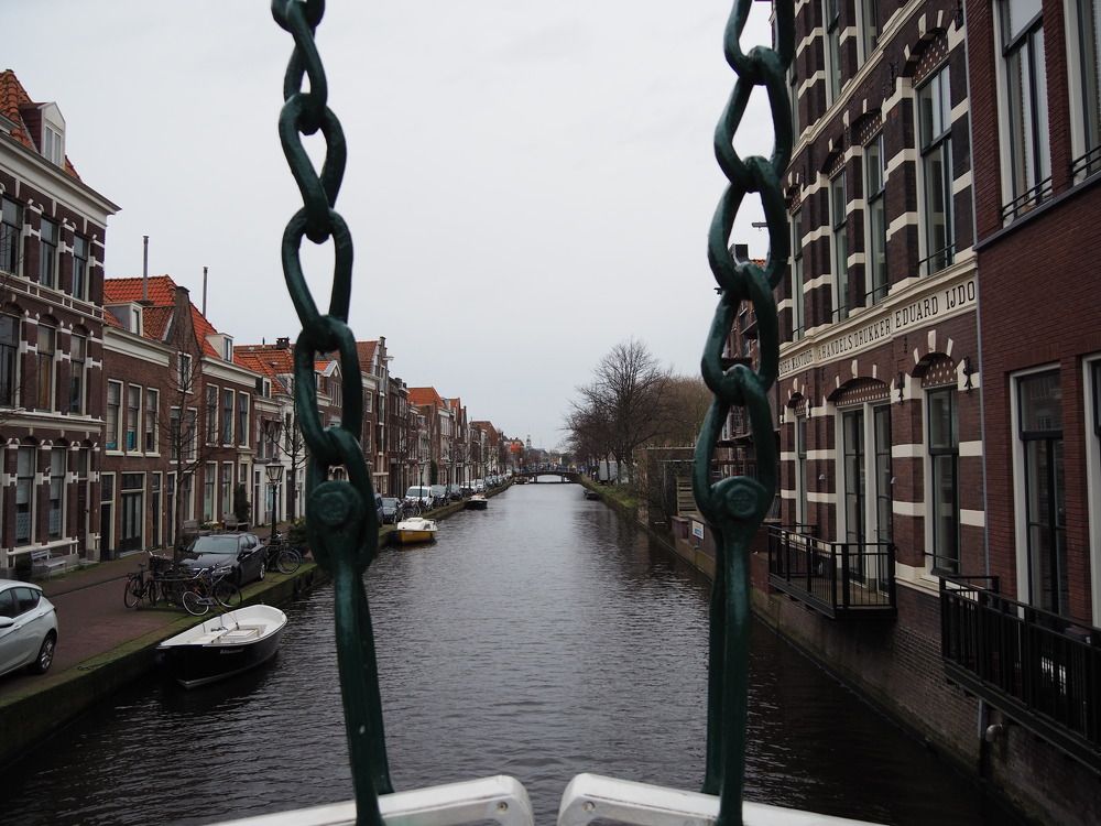 Фотография автора Madina Musaeva