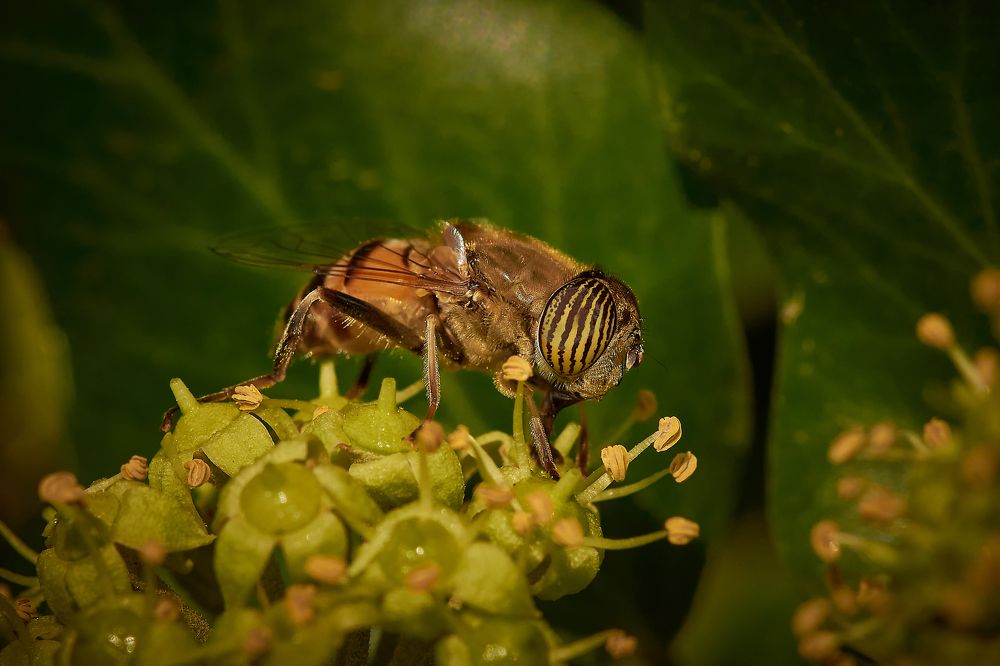 Photograph by Andrea Barlotti