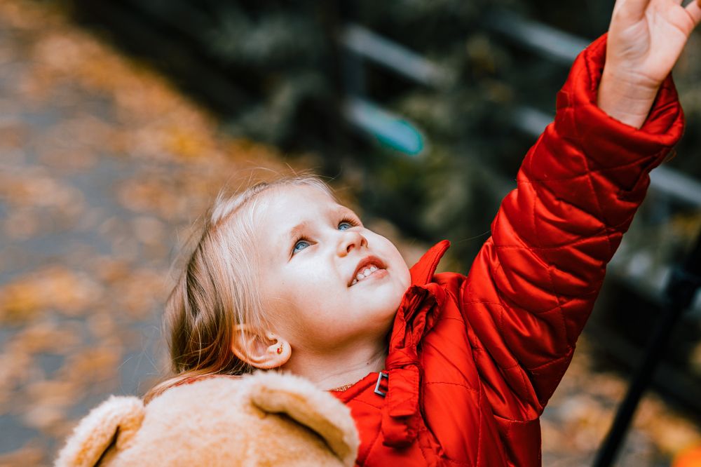 Photograph by Дмитрий Бровко