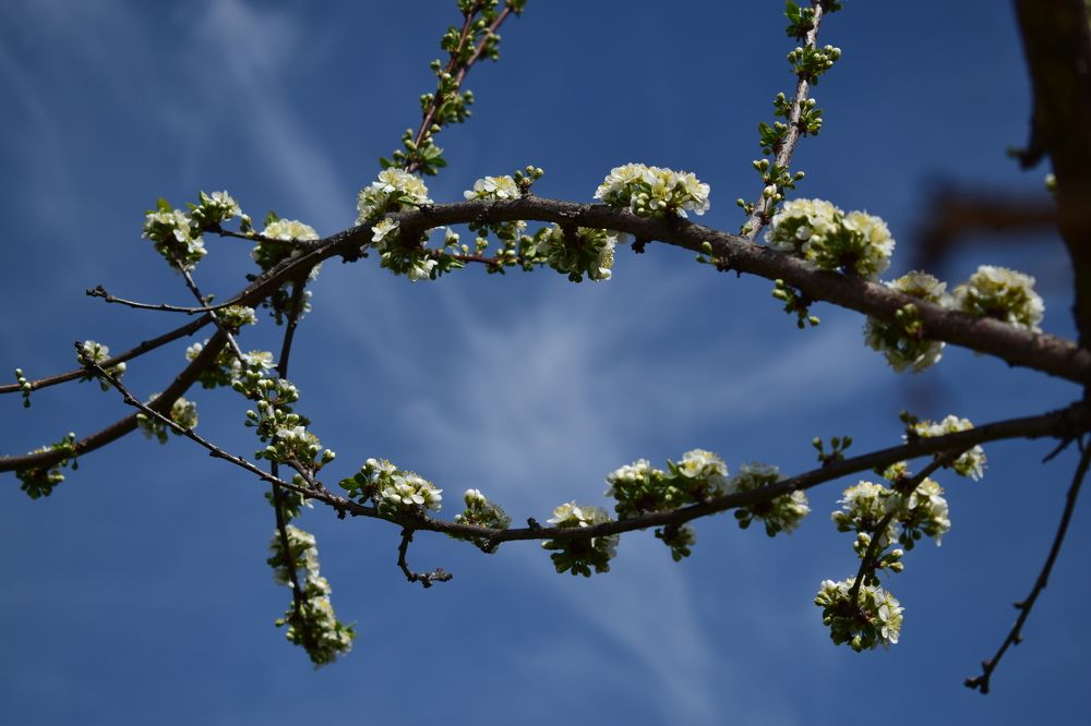Photograph by Наталья Еременко