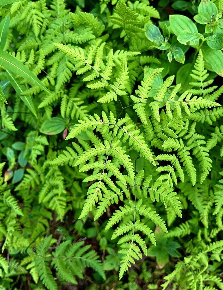 Photograph by Ekaterina Chernyshova