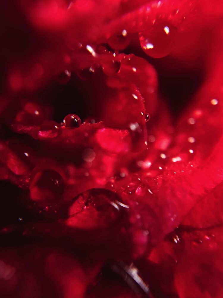 Photograph by Smruti Ranjan Das