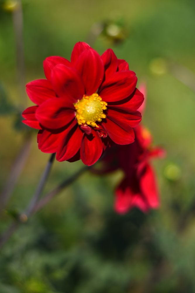 Photograph by Дымова Вера