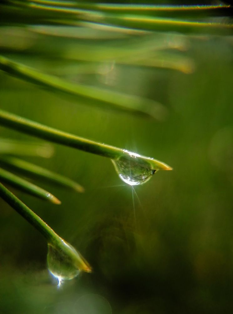 Photograph by Светлана Шелухеева