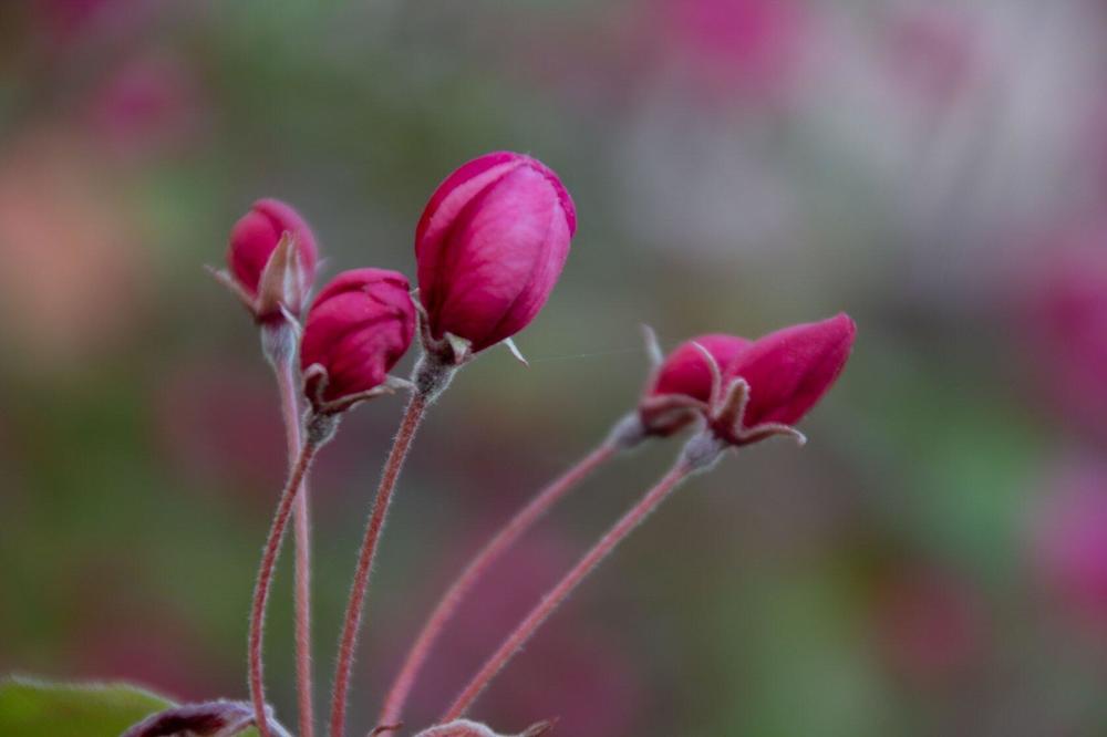 Photograph by Елена