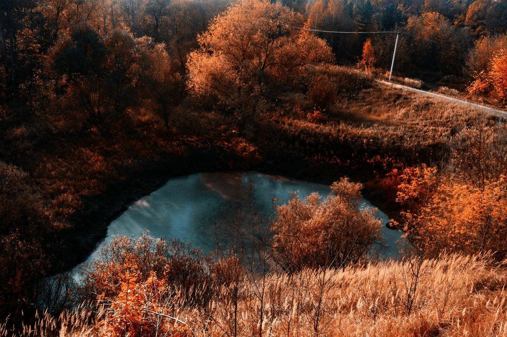 Водоём осенью