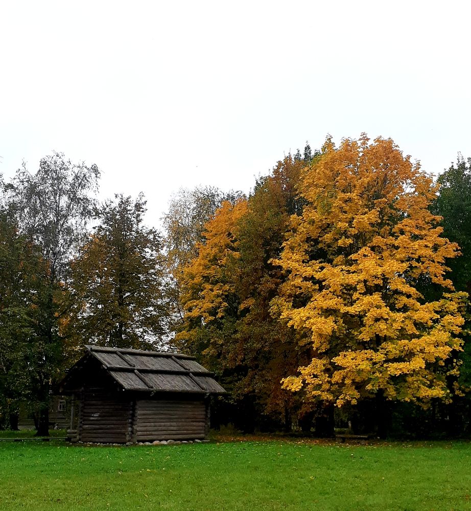 Photograph by Анастасия