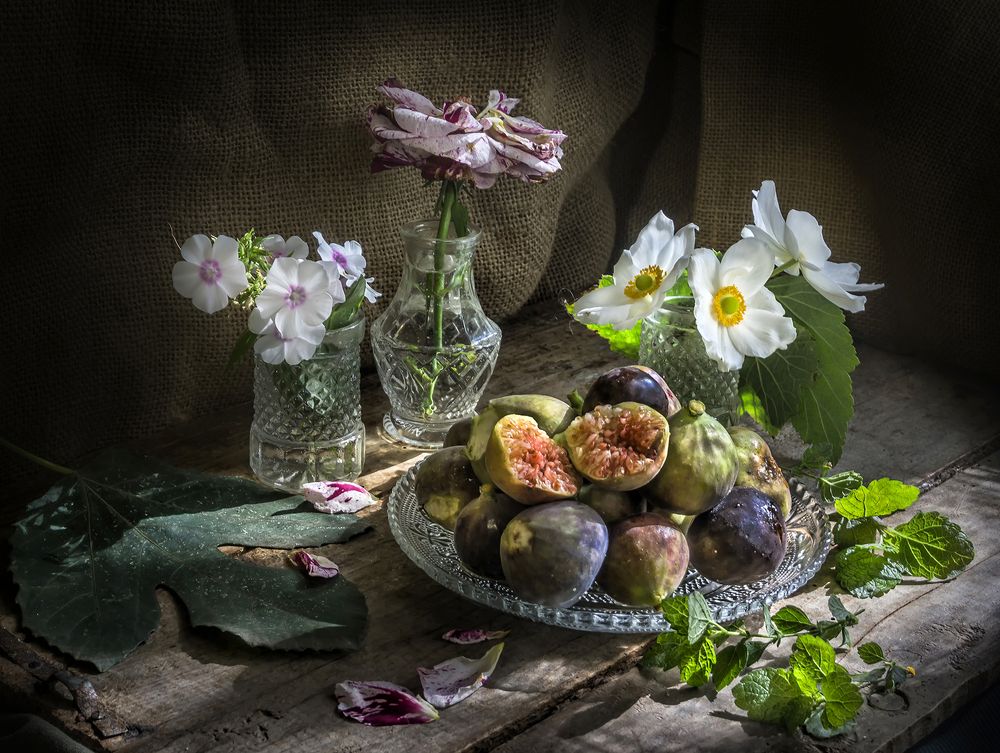 Фотография автора Milena Ivanova