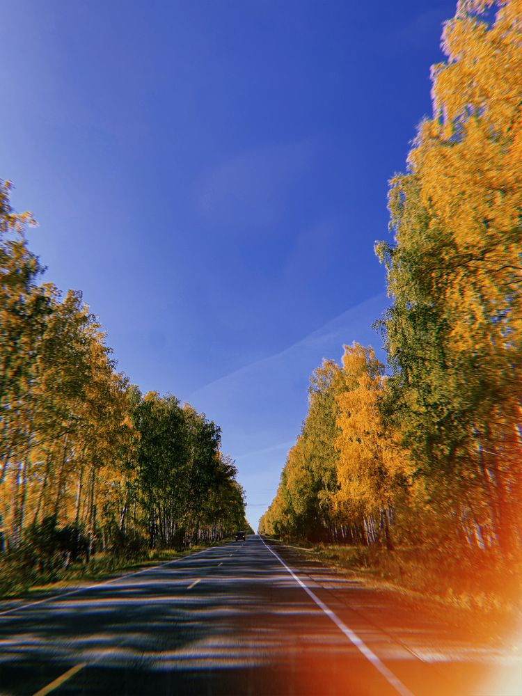 Дорога в осень