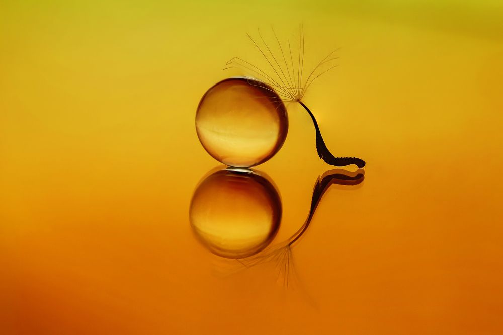 Photograph by António Manuel de Pereira