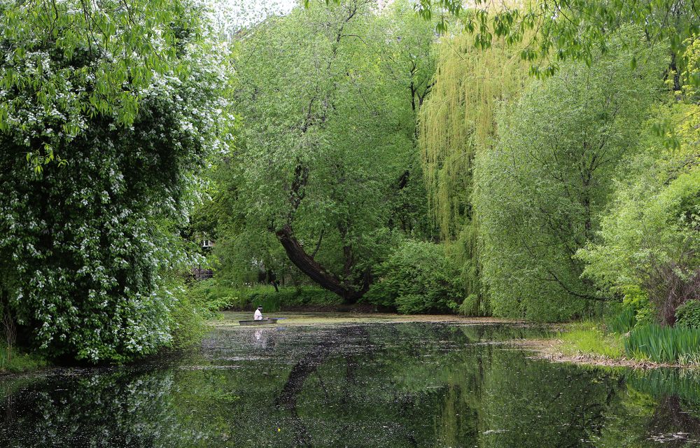 Весны прекрасные мгновенья! Beautiful moments of spring!