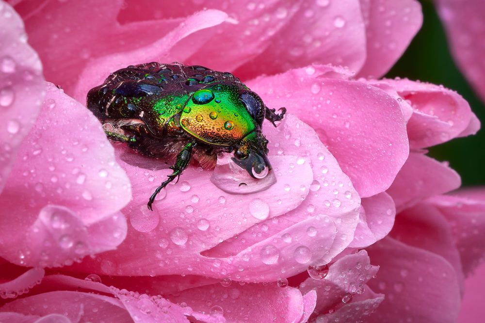 Photograph by Игорь Тымчук