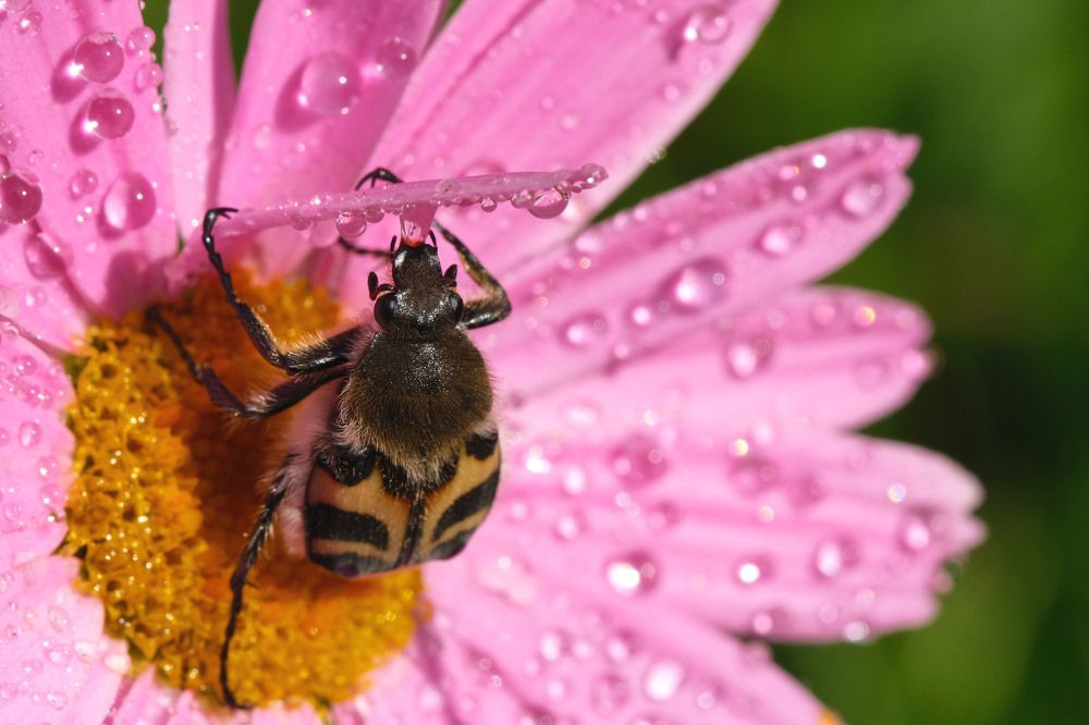 Photograph by Игорь Тымчук