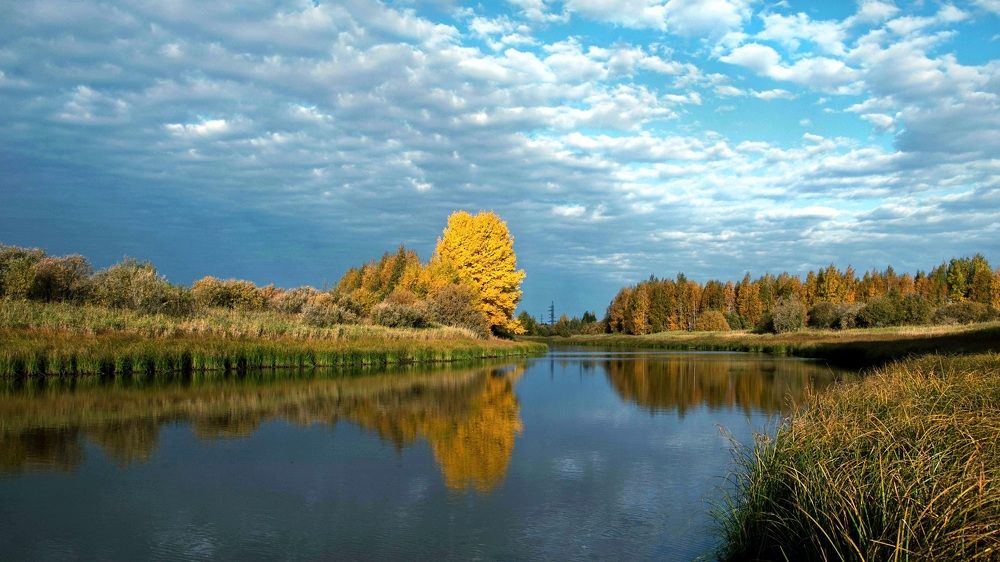 Старица осенью.