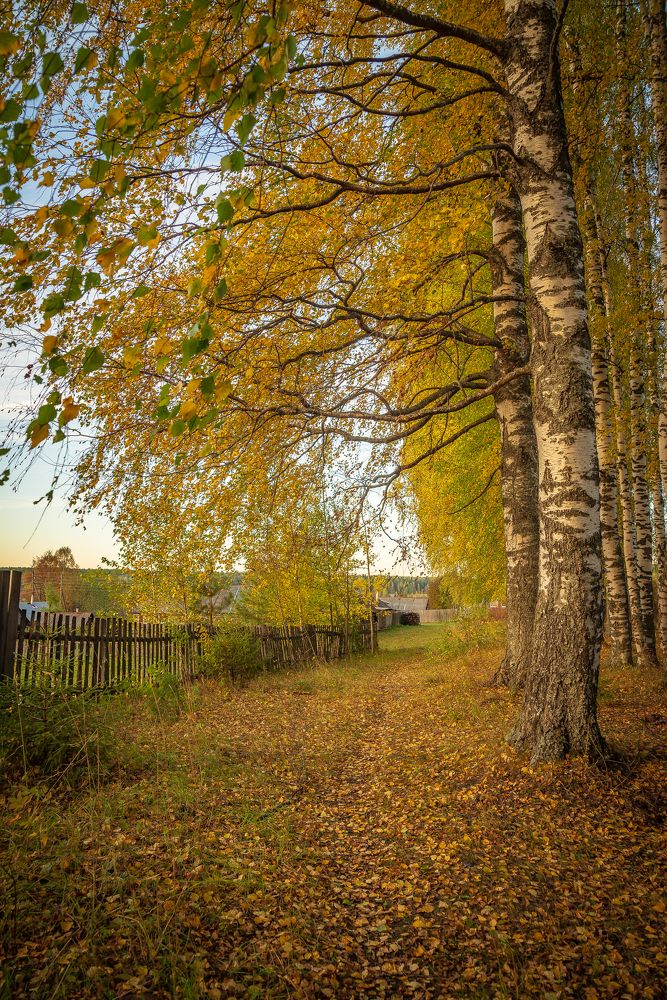 Фотография автора Алексей Шуплецов