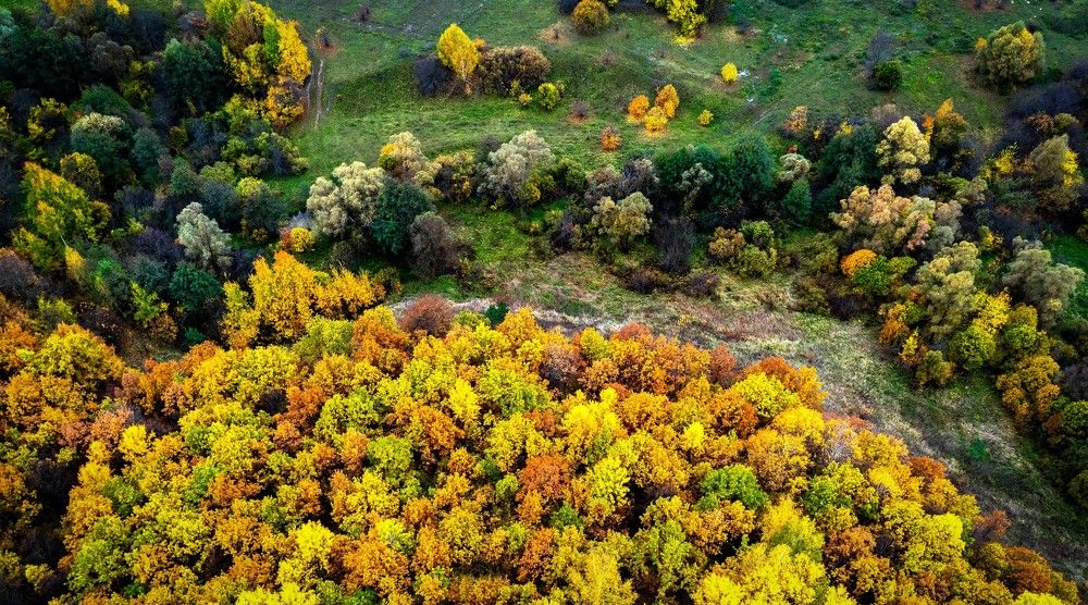 Photograph by Назаров Александр