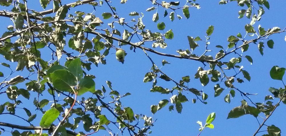 Photograph by Мила Мит