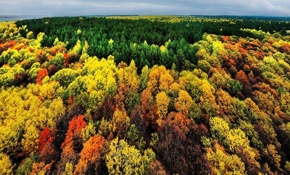 Photograph by Назаров Александр