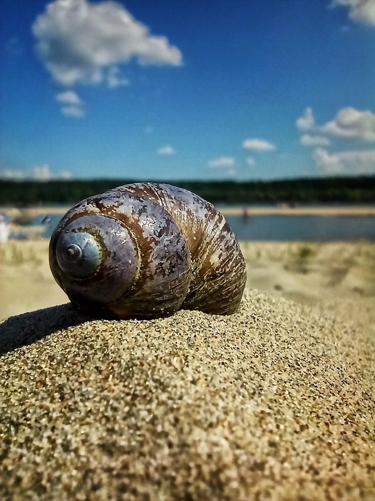 Photograph by Евгения Акишева