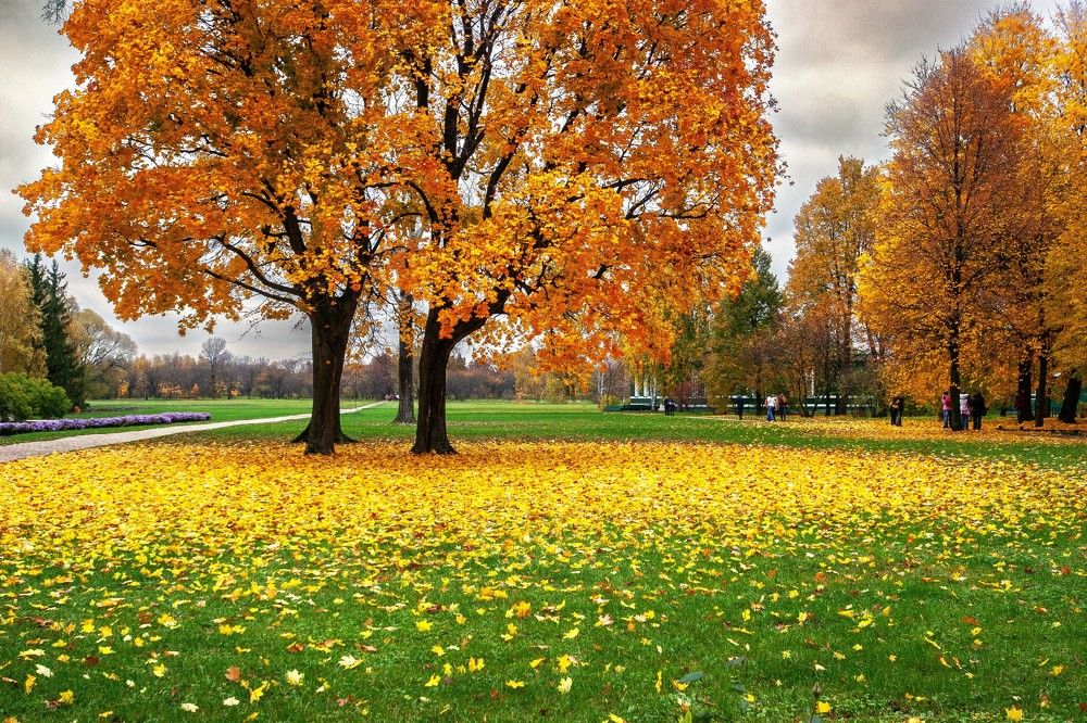 Photograph by Назаров Александр