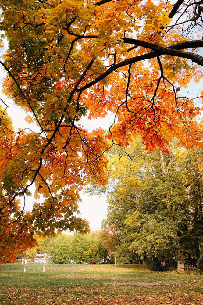 Photograph by Елена Лотник