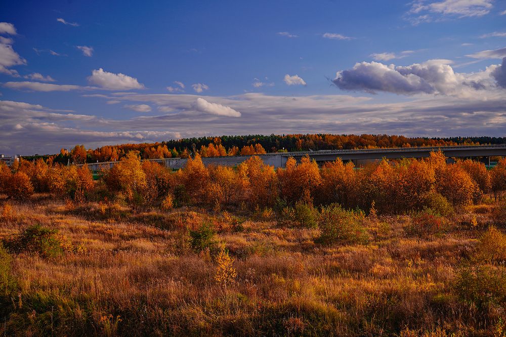 Photograph by Евгений Гонтов