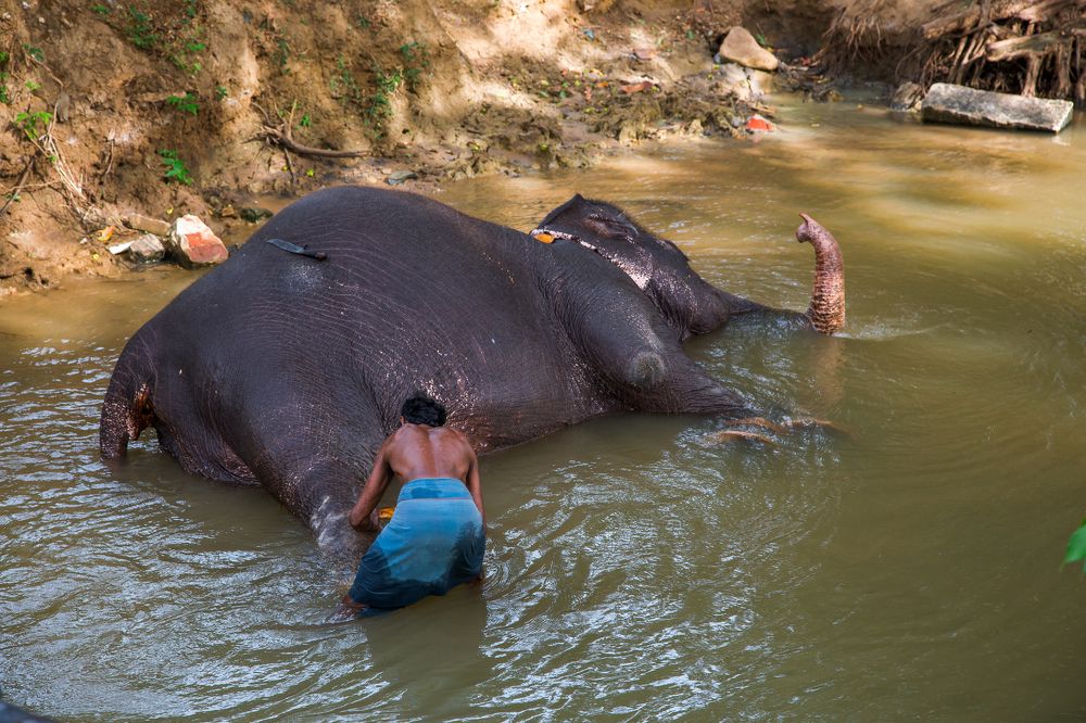 Photograph by Alexey Belov