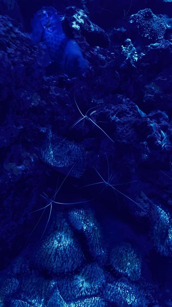 Photograph by Елена Мизина