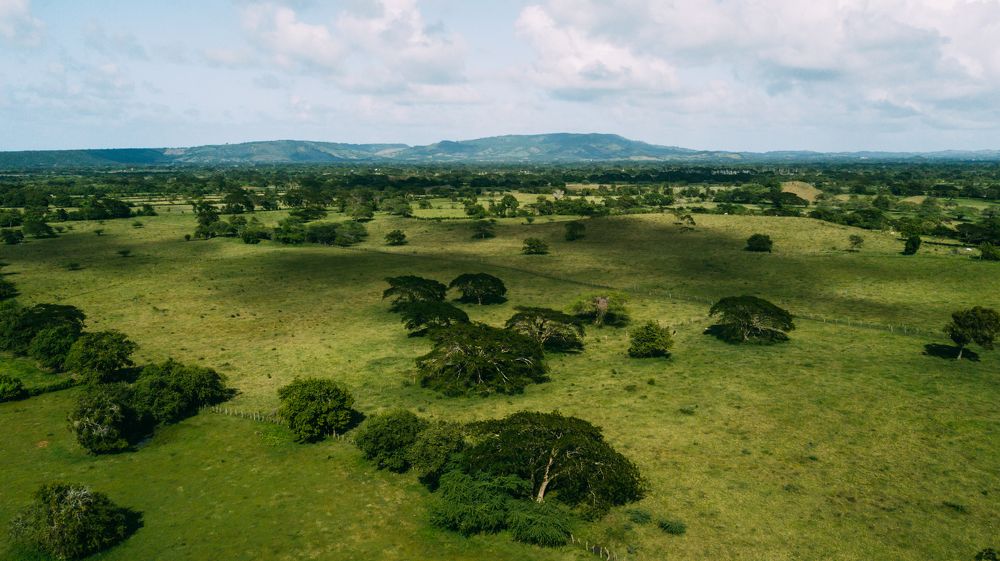 Photograph by Анна Куманцова