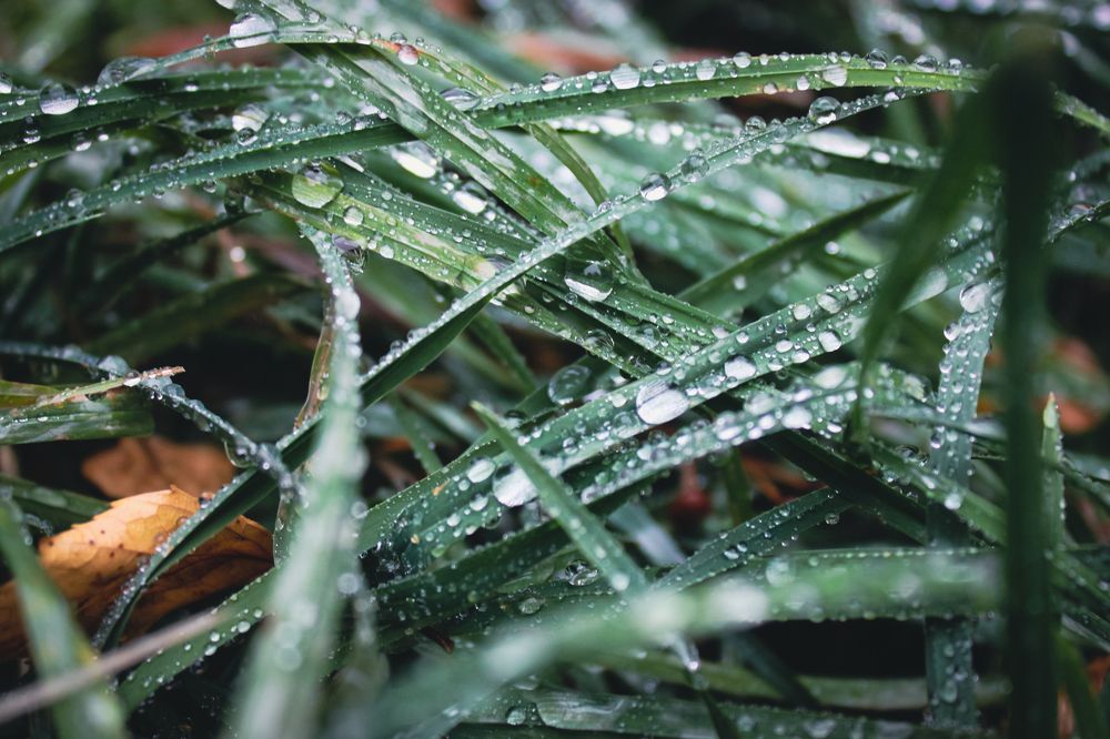 Photograph by Димитрий Осинцев