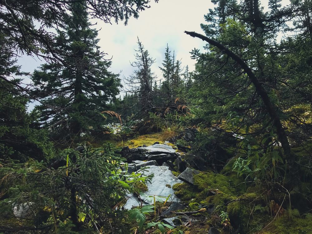 Photograph by Димитрий Осинцев