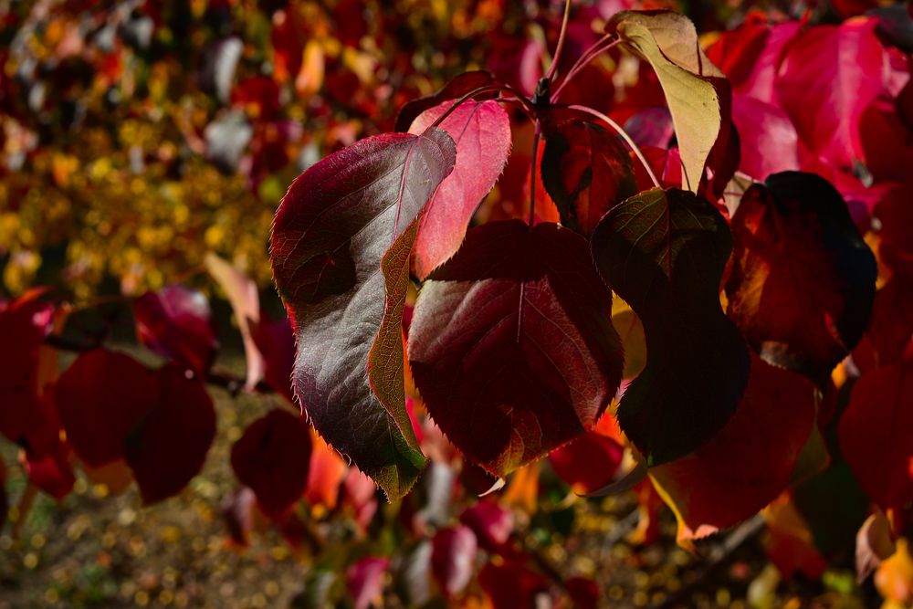 Photograph by Юлия Козельских