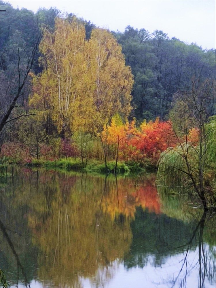 Photograph by Елена Рязанова