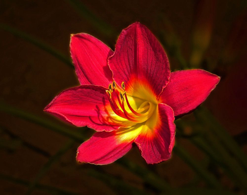 Photograph by Нина Будникова