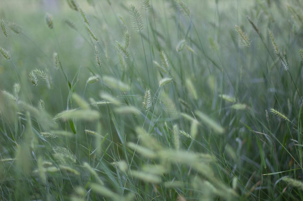 Photograph by Анна Зайченко