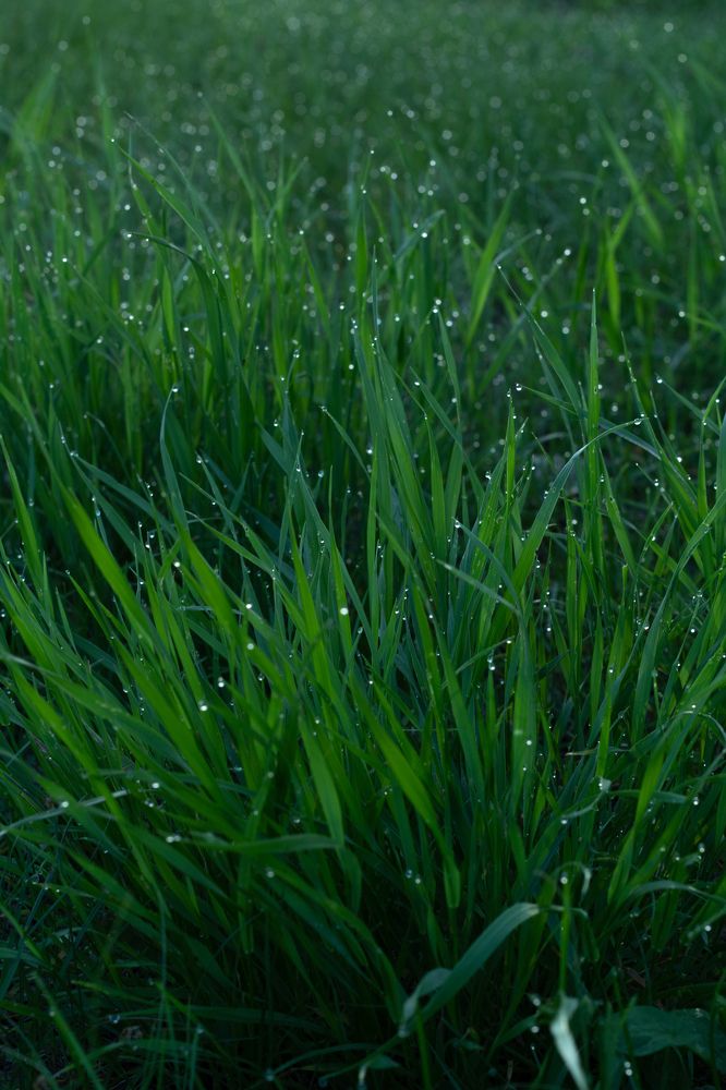 Photograph by Анна Зайченко