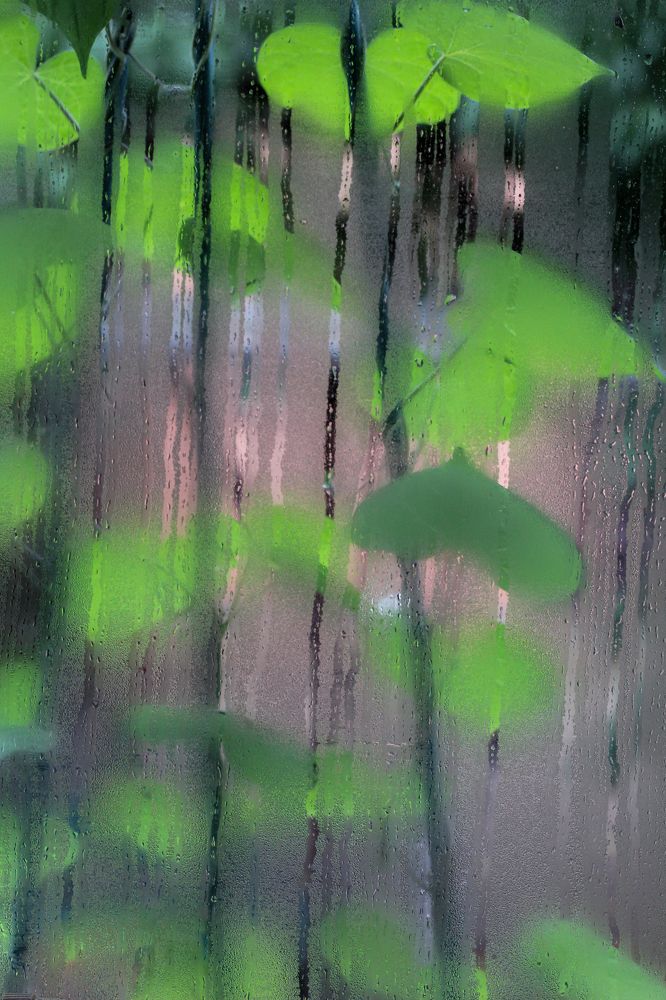 Photograph by Анна Зайченко