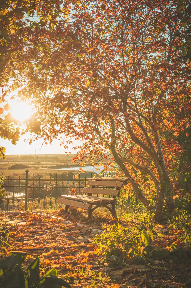 Photograph by Иван Мысов