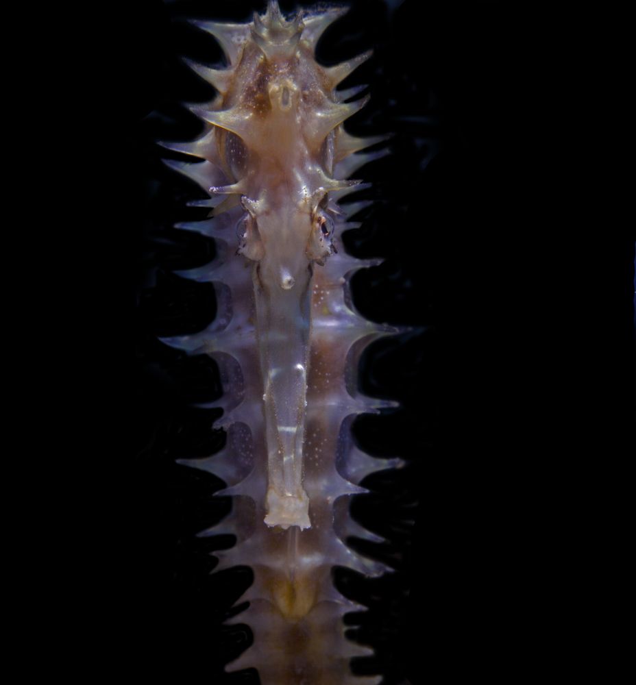 Photograph by Юрий Перевозников