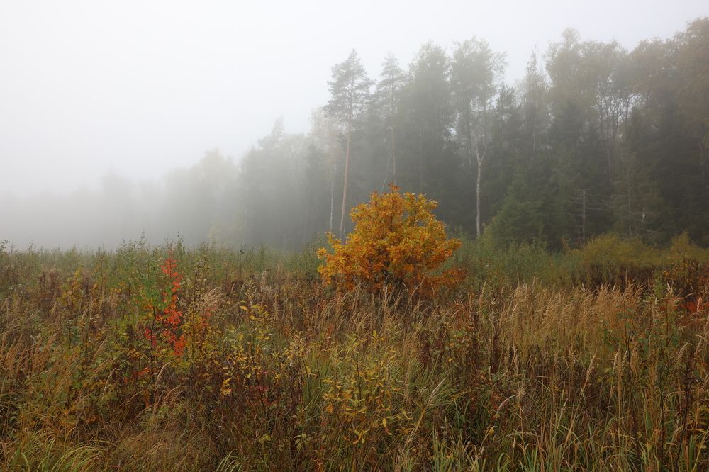 Photograph by Илья Пономарев