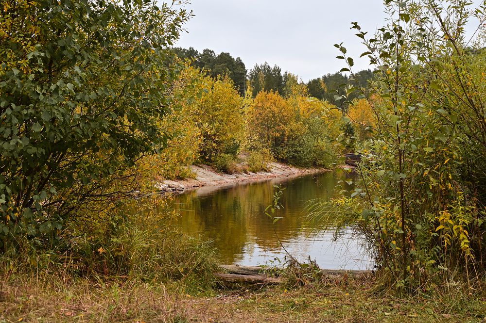 Photograph by Юлия Козельских