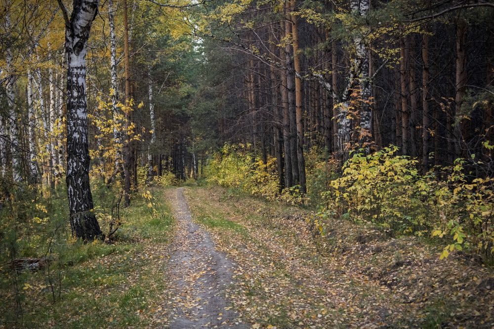 Photograph by Alexander Cerepanov