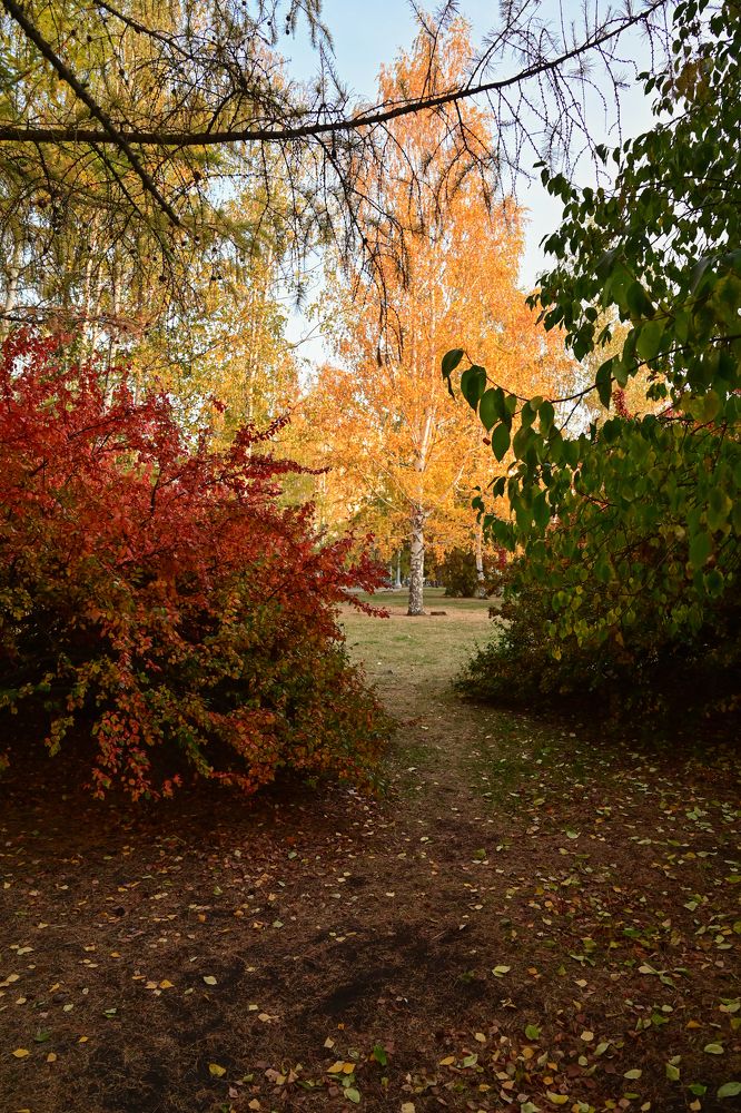 Photograph by Юлия Козельских