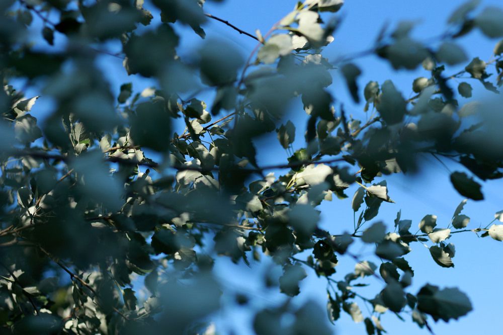 Photograph by Irina Magdalena Bivolaru