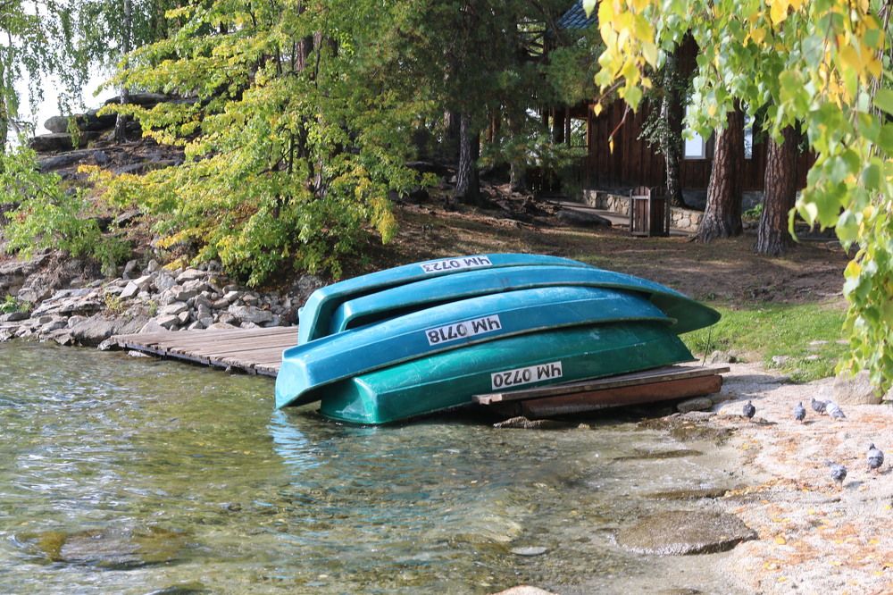 Photograph by Софья Белоногова